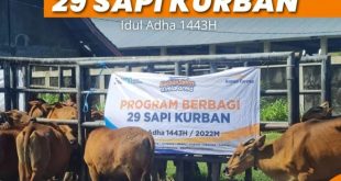 Qurban Sehat Kimia Farma Bagikan 3.500 Kaleng Rendang ke Seluruh Indonesia