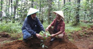 Aksi Hijau Kampung Berseri Astra Suntenjaya  Terapkan Pertanian Ramah Lingkungan