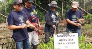 Aksi bersama BKSDA Jakarta YKAN dan Dow Indonesia untuk pelestarian mangrove di Suaka Margasatwa Muara Angke